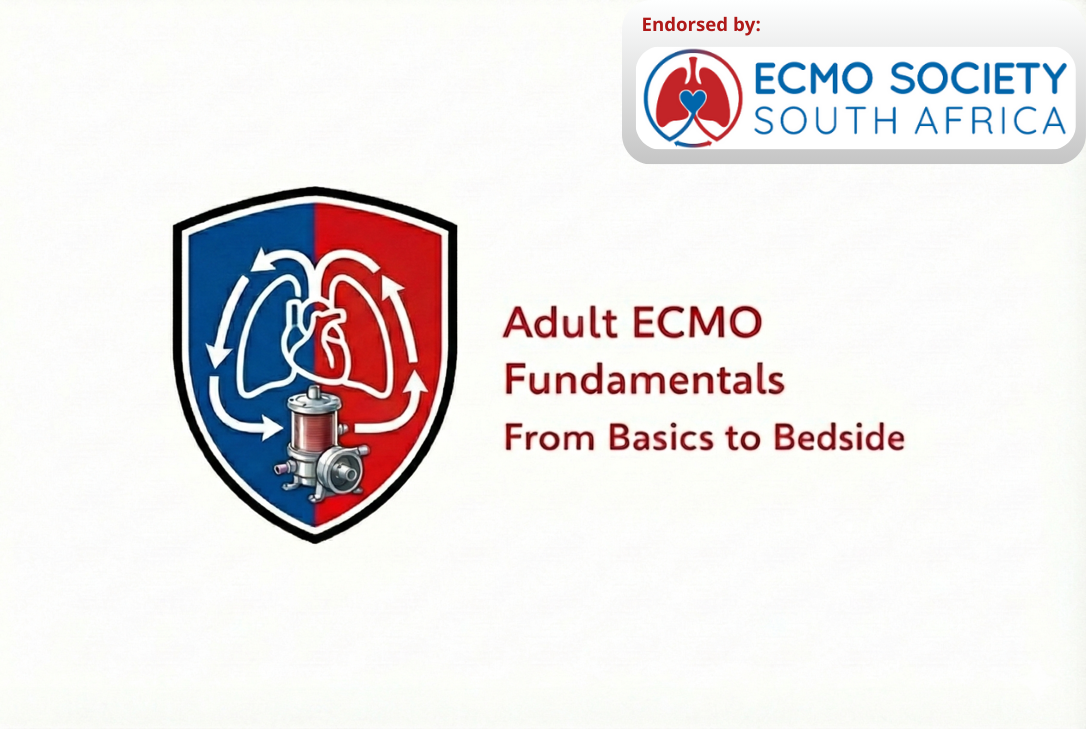 your paragraph text (7)